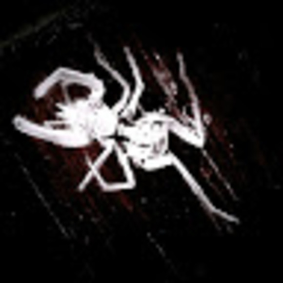 cvhunter4